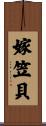 嫁笠貝 Scroll