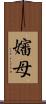 嬸母 Scroll