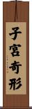 子宮奇形 Scroll