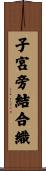 子宮旁結合織 Scroll