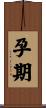 孕期 Scroll