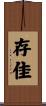 存佳 Scroll
