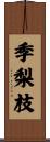 季梨枝 Scroll