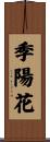 季陽花 Scroll