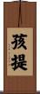 孩提 Scroll