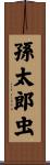 孫太郎虫 Scroll