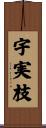 宇実枝 Scroll