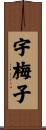 宇梅子 Scroll