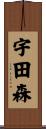 宇田森 Scroll