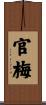 官梅 Scroll