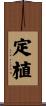 定植 Scroll