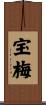 宝梅 Scroll