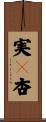 実々杏 Scroll
