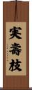 実壽枝 Scroll