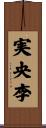 実央李 Scroll