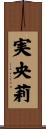 実央莉 Scroll