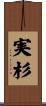 実杉 Scroll