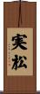 実松 Scroll