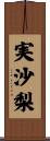 実沙梨 Scroll