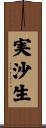 実沙生 Scroll