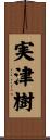実津樹 Scroll