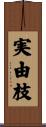 実由枝 Scroll