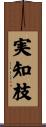 実知枝 Scroll