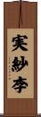 実紗李 Scroll