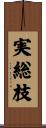実総枝 Scroll