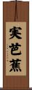 実芭蕉 Scroll