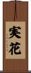 実花 Scroll