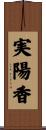実陽香 Scroll