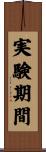 実験期間 Scroll