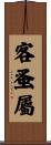 客蚤屬 Scroll