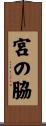 宮の脇 Scroll