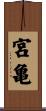 宮亀 Scroll