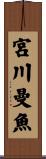 宮川曼魚 Scroll