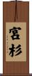 宮杉 Scroll
