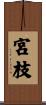 宮枝 Scroll