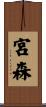 宮森 Scroll