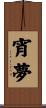 宵夢 Scroll
