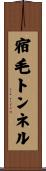 宿毛トンネル Scroll