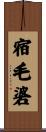 宿毛碆 Scroll