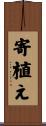 寄植え Scroll