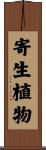 寄生植物 Scroll