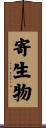 寄生物 Scroll