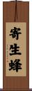 寄生蜂 Scroll