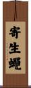 寄生蠅 Scroll