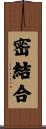 密結合 Scroll