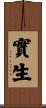 實生 Scroll